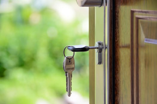 Comprendre le phénomène des squatteurs à Théoule-sur-Mer : Guide complet